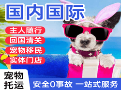 镶黄旗新宝拉格航空空运国际宠物托运 【国